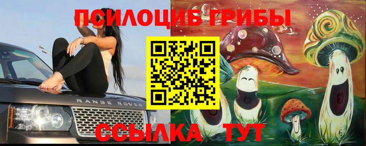 Псилоцибиновые грибы мицелий Копейск